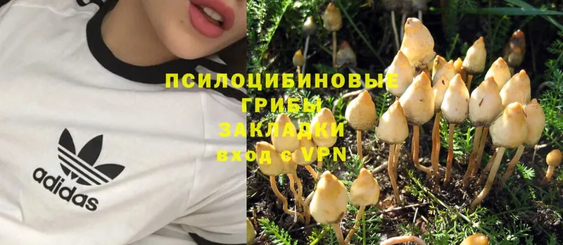 Псилоцибиновые грибы Magic Shrooms  Костомукша 